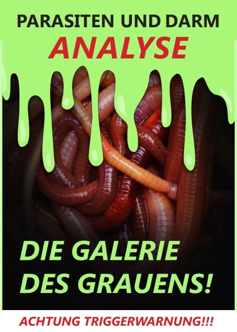 WhatsApp-Bild-2024-01-17-um-17.34.14_cc28ba40