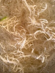 Sea Moss 
