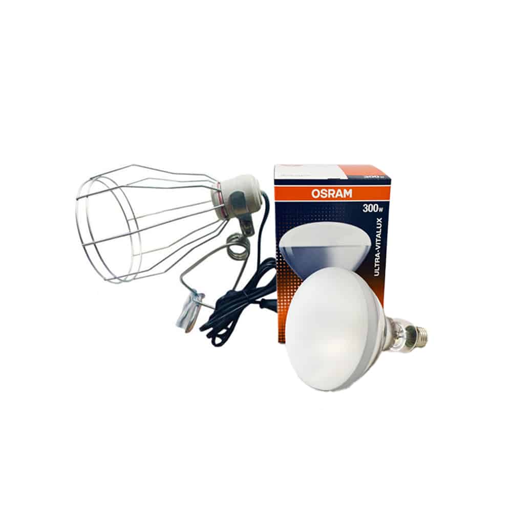 lampe
