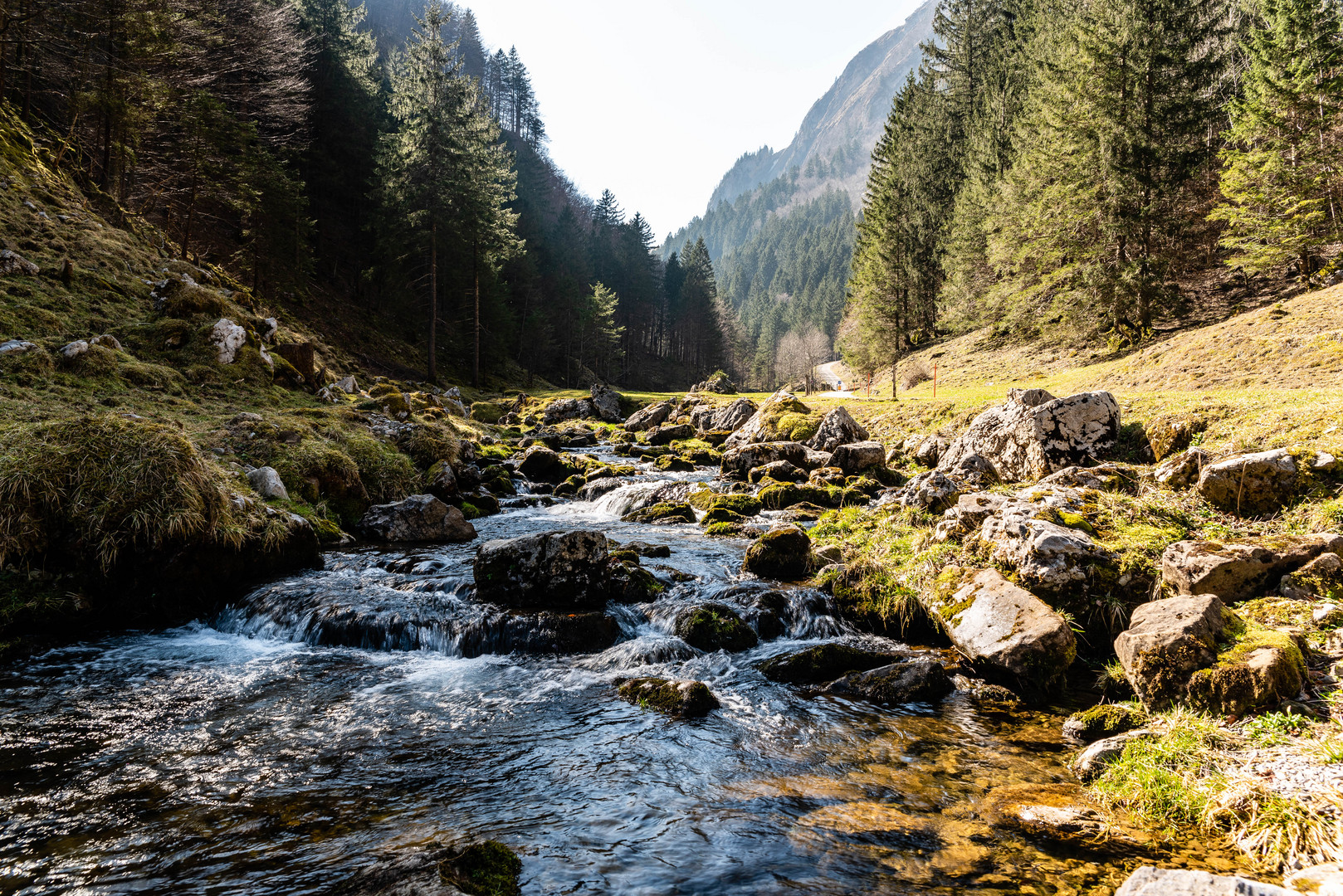 Bachlauf Foto & Bild | landschaft, alpstein, natur Bilder ...